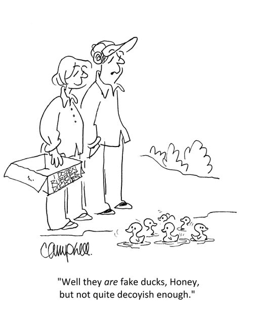 "Well they are fake ducks, Honey, but not quite decoyish enough."