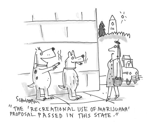 "The 'Recreational Use of Marijuana' proposal passed in this state."