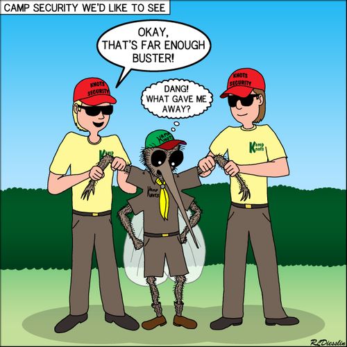 Camp Security we'd like to see