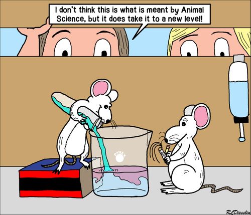 "I don't think this is what is meant by Animal Science, but it does take it to a new level!"