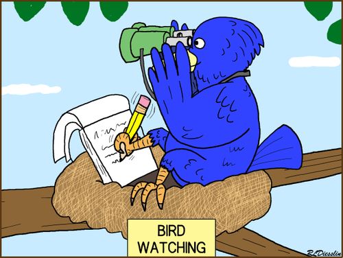Bird Watching with Binoculars