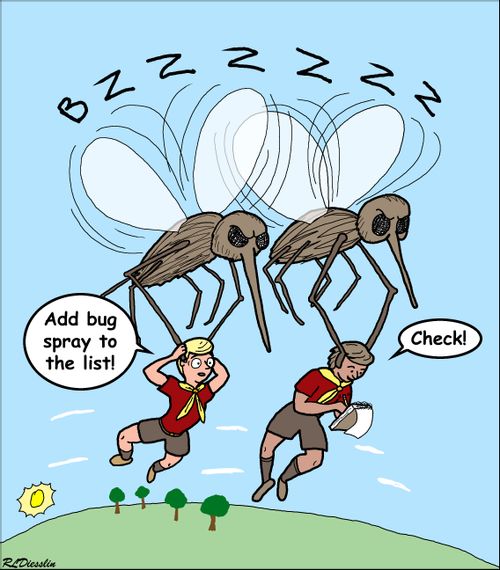 Camping Checklist and Bug Spray