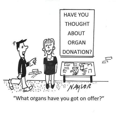"What organs have you got on offer?"