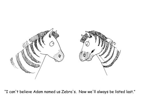 "I can't believe Adam named us Zebra's.  Now we'lll always be listed last." 