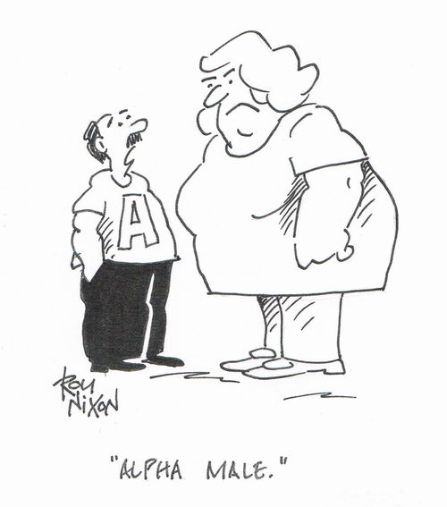 "Alpha Male."