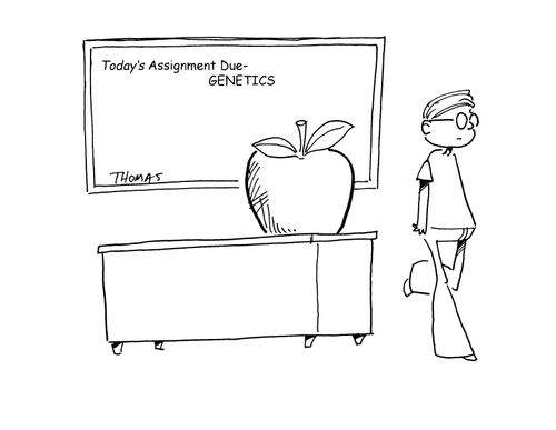 Today's Assignment Due - Genetics