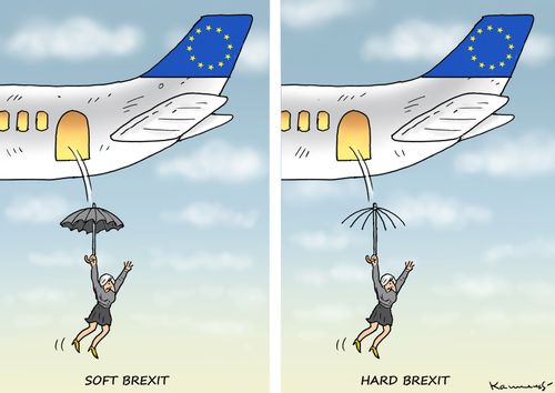 Soft Brexit/Hard Brexit