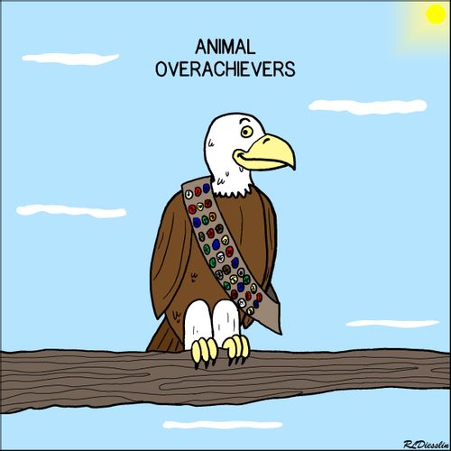 Animal Overachievers