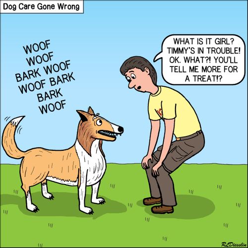 Dog Care Gone Wrong