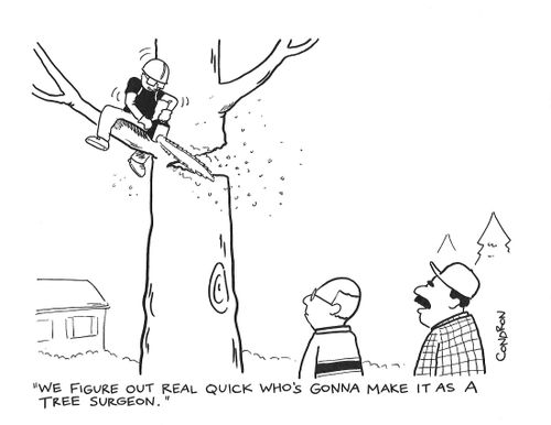 "We figure out real quick who's gonna make it as a tree surgeon."