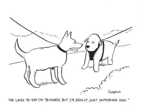 "He likes to say I'm trained, but I'm really just humoring him."