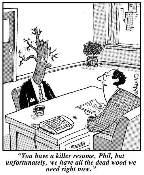 "You have a killer resume, Phil, but unfortunately, we have all the dead wood we need right now."