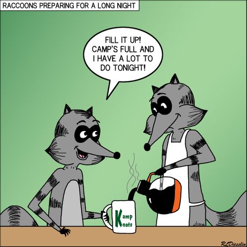 Raccoon Camp Nights