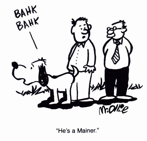 "He's a Mainer."