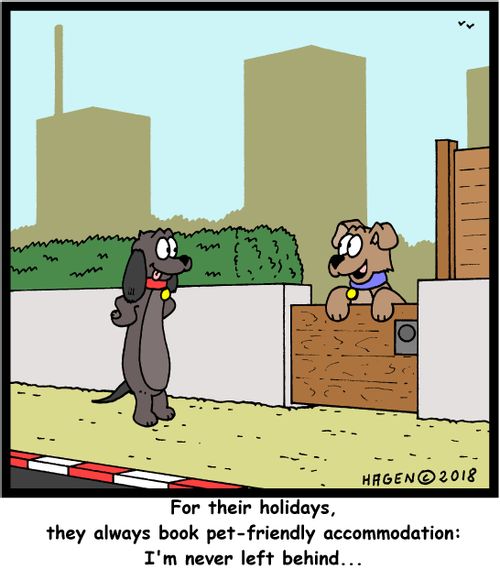 "For their holidays, they always book pet-friendly accommodation: I'm never left behind..."