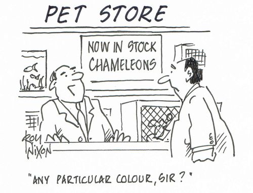 "Any particular colour, sir?"