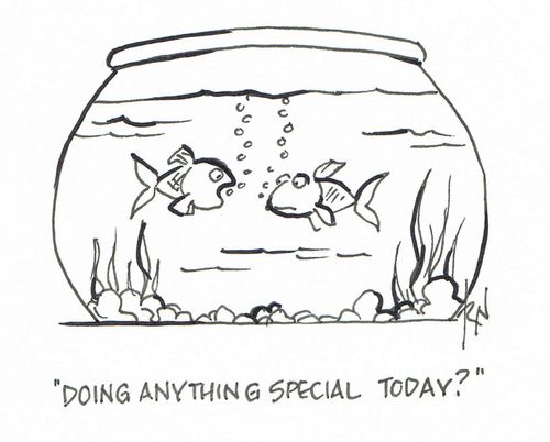 "Doing anything special today?"