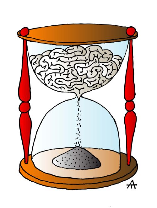Brain