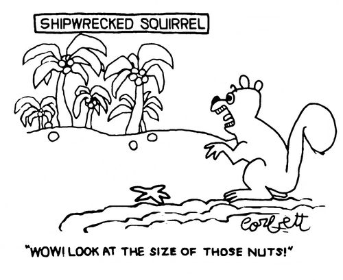 Shipwrecked Squirrel:  "Wow! Look at the size of those nuts!"