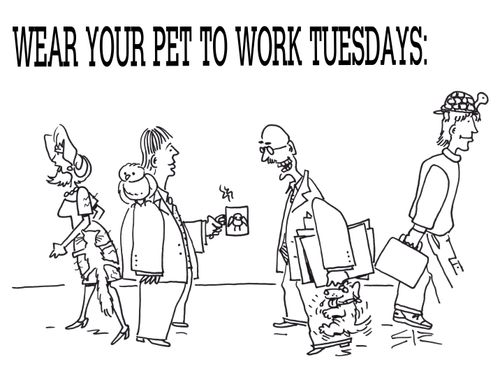 Pet Tuesdays