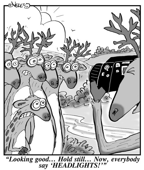 "Looking good... Hold still... Now, everybody say 'HEADLIGHTS!'"