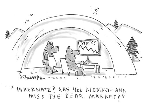 "Hibernate? Are you kidding - and miss the bear market?"