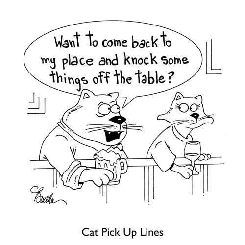 Cat Pick Up Lines