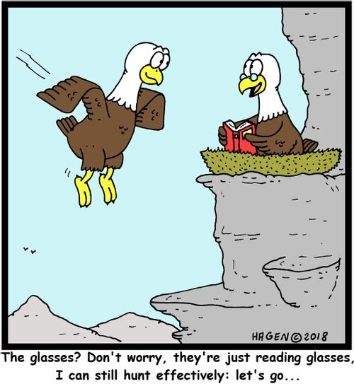 "The glasses? Don't worry, they're just reading glasses, I can still hunt effectively: let's go..."