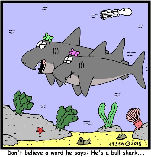 "Don't believe a word he says: He's a bull shark..."
