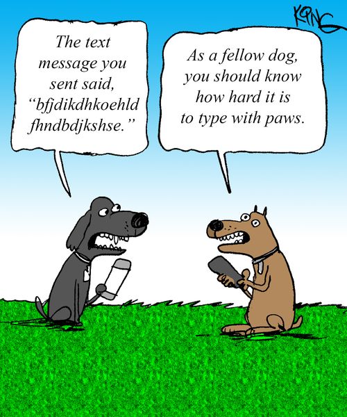"As a fellow dog, you should know how hard it is to type with paws."