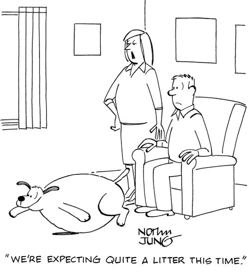 "We're expecting quite a litter this time."