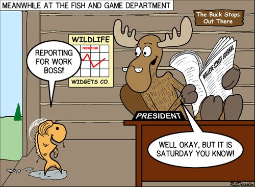 Meanwhile at the Fish and Game Department