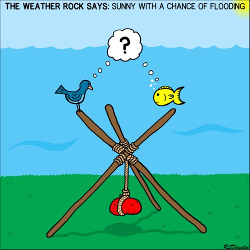 The Weather Rock says: Sunny with a chance of flooding