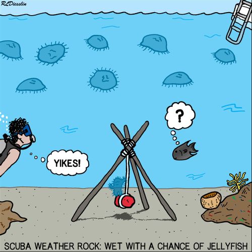 SCUBA Weather Rock: Wet with a chance of Jellyfish