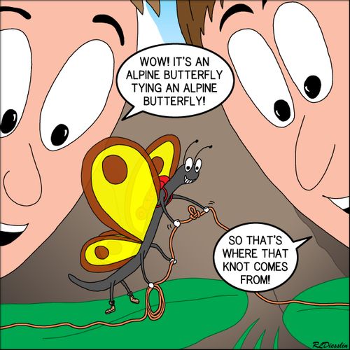 "Wow! It's an Alpine butterfly tying an Alpine butterfly!"
