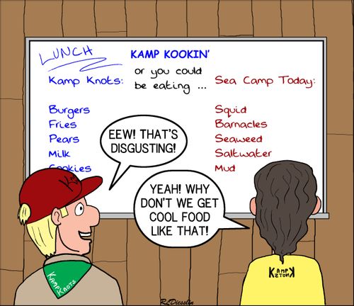 Camp Menu - What Adults like verses what Scouts Like