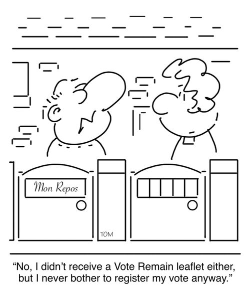 "No. I didn't receive a Vote Remain leaflet either, but I never bother to register my vote anyway."