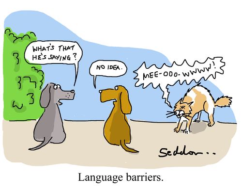 Language barriers