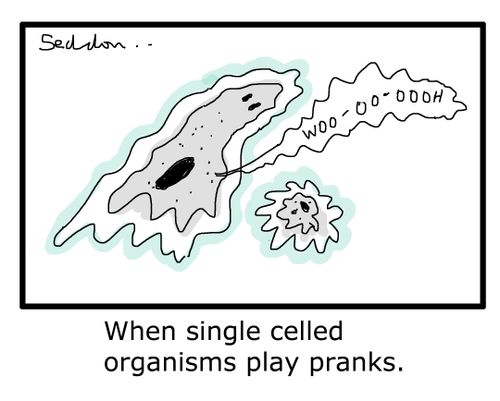 When single celled organisms play pranks.