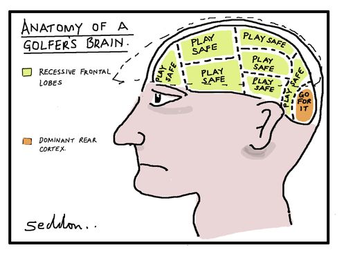 Anatomy of a golfer's brain.