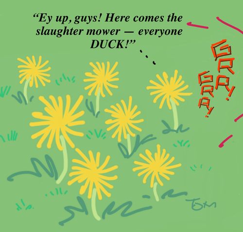 "Ey up, guys! Here comes the slaughter mower - everyone Duck!"