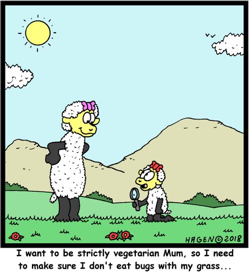 "I want to be strictly vegetarian Mum, so I need to make sure I don't eat bugs with my grass..."