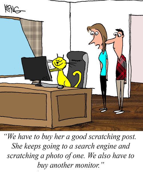 "We have to buy her a good scratching post. She keeps going to a search engine and scratching a photo of one. We also have to buy another monitor."