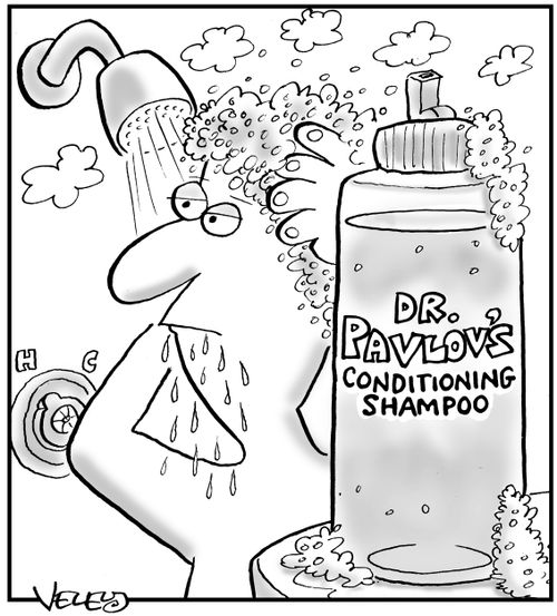 Dr. Pavlov's Conditioning Shampoo