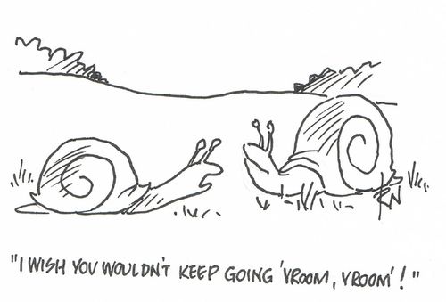 "I wish you wouldn't keep going 'Vroom, Vroom'!"