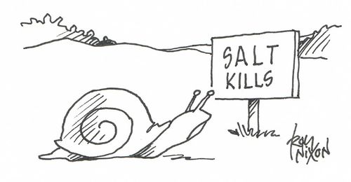 Notice - Salt Kills