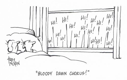 "Bloody dawn chorus!"