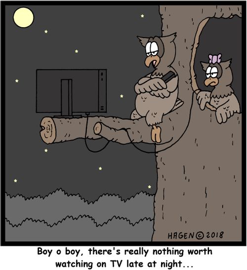 "Boy o boy, there's really nothing worth watching on TV late at night..."