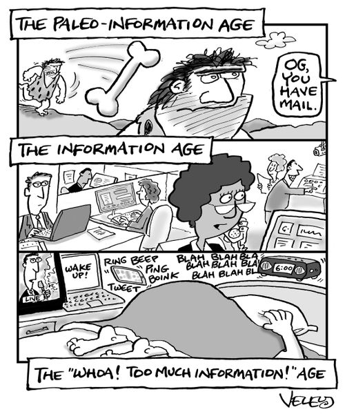 The Paleo-Information Age/The Information Age/The "Whoa, Too Much Information!" Age. 