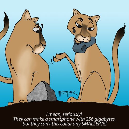 "I mean, seriously!  They can make a smartphone with 256 gigabytes, but they can't this collar any SMALLER?!!!"